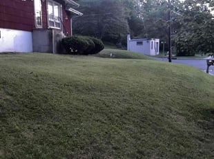 Lauren A.'s Lawn Care service result