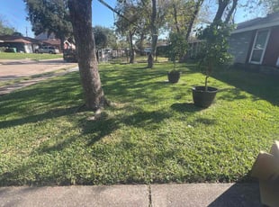 Brian S.'s Lawn Mowing service result