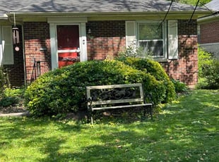 Bush Trimming by Chris Smith for Elizabeth K. in Indianapolis, IN