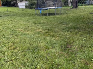 Cleanups by Zachery Riedberger for Toni R. in Minneapolis, MN