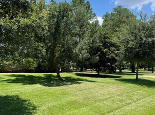 Rich J.'s Lawn Maintenance service result