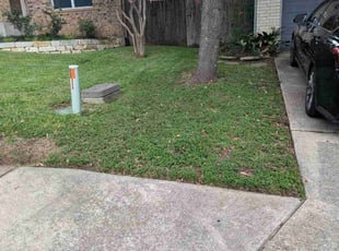 Joseph D.'s Lawn Mowing service result
