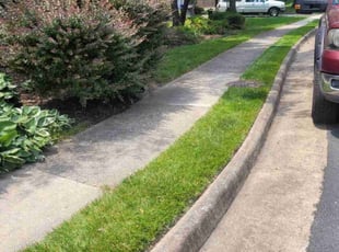 Sarah v.'s Lawn Service service result