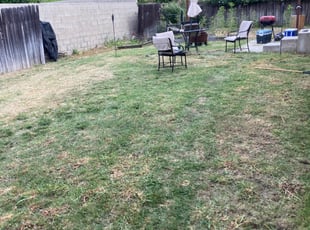 Cleanups by Alexander Stevenson for Anthony G. in Los Angeles, CA