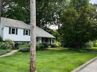 Vivian C.'s Lawn Service service result