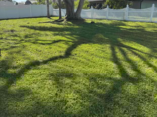 Christopher D.'s Lawn Care service result