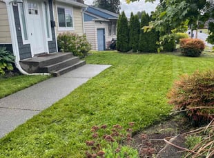 Ray A.'s Lawn Service service result