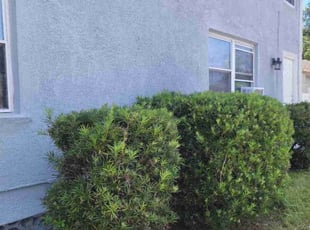 Bush Trimming by Jeanie Brundage for Kenneth L. in Daytona Beach, FL