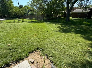 Llewellyn H.'s Lawn Care service result