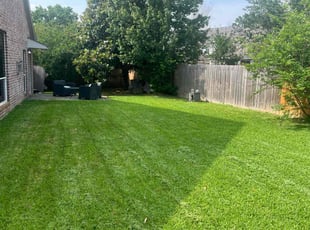 Miankha L.'s Lawn Mowing service result