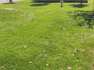 Robert P.'s Lawn Care service result