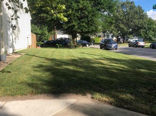 Leaf Removal by John Morrisroe for TERRIAN H. in Virginia Beach, VA