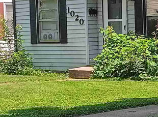 Bush Trimming by Joshua Barry for Jennie R. in Rockford, IL
