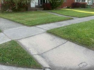 Luis S.'s Lawn Care service result
