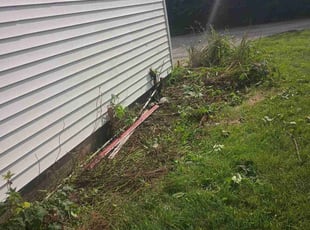 Bush Trimming by Daniel Burton for Ursula W. in Joliet, IL