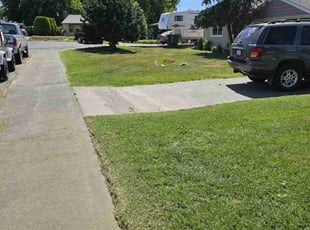 David W.'s Yard Cutting service result