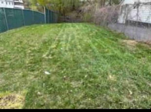 Cleanups by Josh Brockett for Cynthia G. in Syracuse, NY