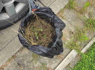 Cleanups by Erik Bullens for Gary G. in Greenwood, IN