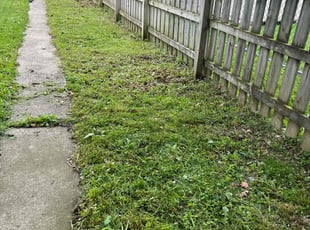 Cleanups by Daniel Lantz for Denisha M. in Newmanstown, PA