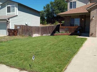 Rajagopalan S.'s Lawn Care service result