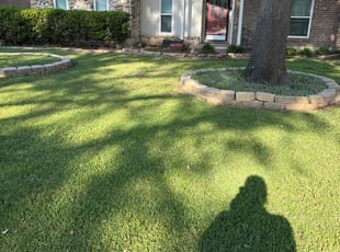 Carmen M.'s Lawn Service service result