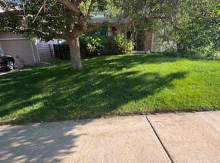 Jay M.'s Lawn Maintenance service result