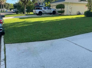 Jonathan L.'s Lawn Maintenance service result