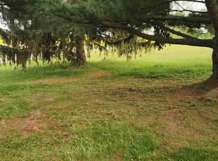 Cleanups by Dylan Ayers for Anna B. in Onondaga, MI