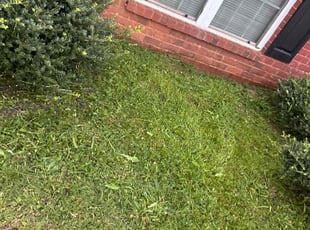 Weeding by Durand Turner for Cody J. in Decatur, GA