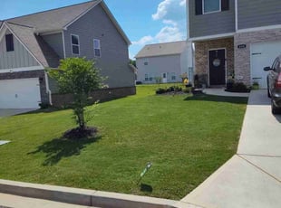 Carolynn P.'s Lawn Mowing service result