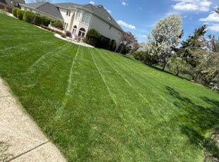 Ryan B.'s Lawn Service service result