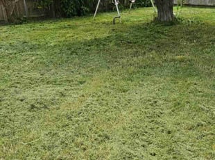 Cleanups by Mark Vogl for Marianne s. in Springfield, MO