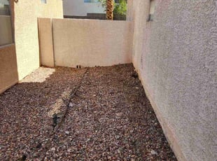 Weeding by Lamont Johnson for Nick O. in Las Vegas, NV