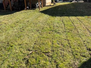 Leaf Removal by Dimas Lopez for Paulette R. in Randallstown, MD