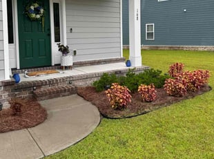 Amber M.'s Lawn Mowing service result