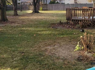 Cleanups by Dywane Clarke for Michael G. in Columbus, OH