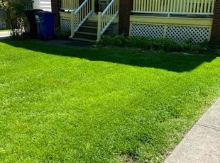 Allan A.'s Lawn Care service result