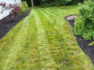Mulching by Kevin Pineda for Michelle M. in Kannapolis, NC