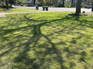 Michael J.'s Lawn Service service result