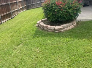 Weeding by Gabriel Piedra for Jana H. in Denton, TX