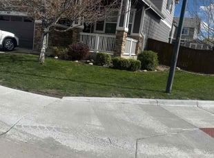 Linda b.'s Lawn Mowing service result