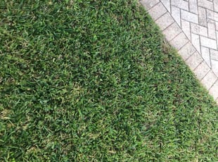 Cleanups by Champ Johnson for Flo S. in Boynton Beach, FL