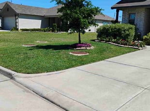 James B.'s Lawn Mowing service result