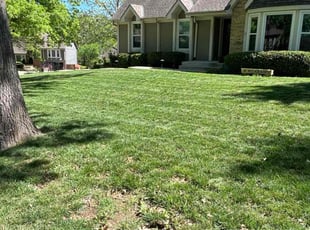 Amar T.'s Lawn Care service result