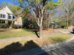 Leaf Removal by Terrance Flowers for Sheila R. in Charlotte, NC