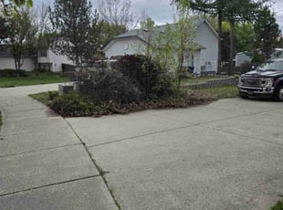 Bush Trimming by DD Lawncare for Lee G. in Hayden, ID