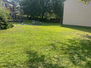 Viola N.'s Yard Cutting service result
