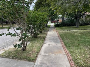 Mitchell B.'s Lawn Maintenance service result