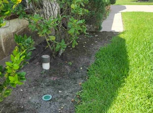 Weeding by Gladis Carcamo for Adrian A. in Richmond, TX
