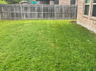 Stacey P.'s Lawn Mowing service result